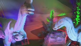 Visitors come face-to-face with dinosaurs at Alpharetta's Dino Safari