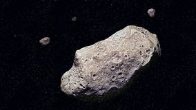 4660 Nereus, asteroid the size of the Eiffel Tower, to fly past Earth