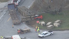 Truck carrying chickens overturns in Hall County