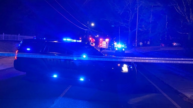 Teen, dog die in DeKalb County crash, police say