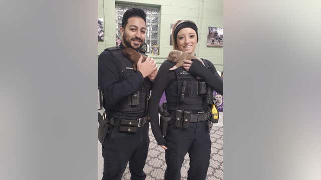 Detroit cops rescue puppies trapped in abandoned home's mattress spring