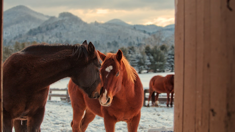 photo taken by Kurtis Miller – copyright Rabun County Tourism