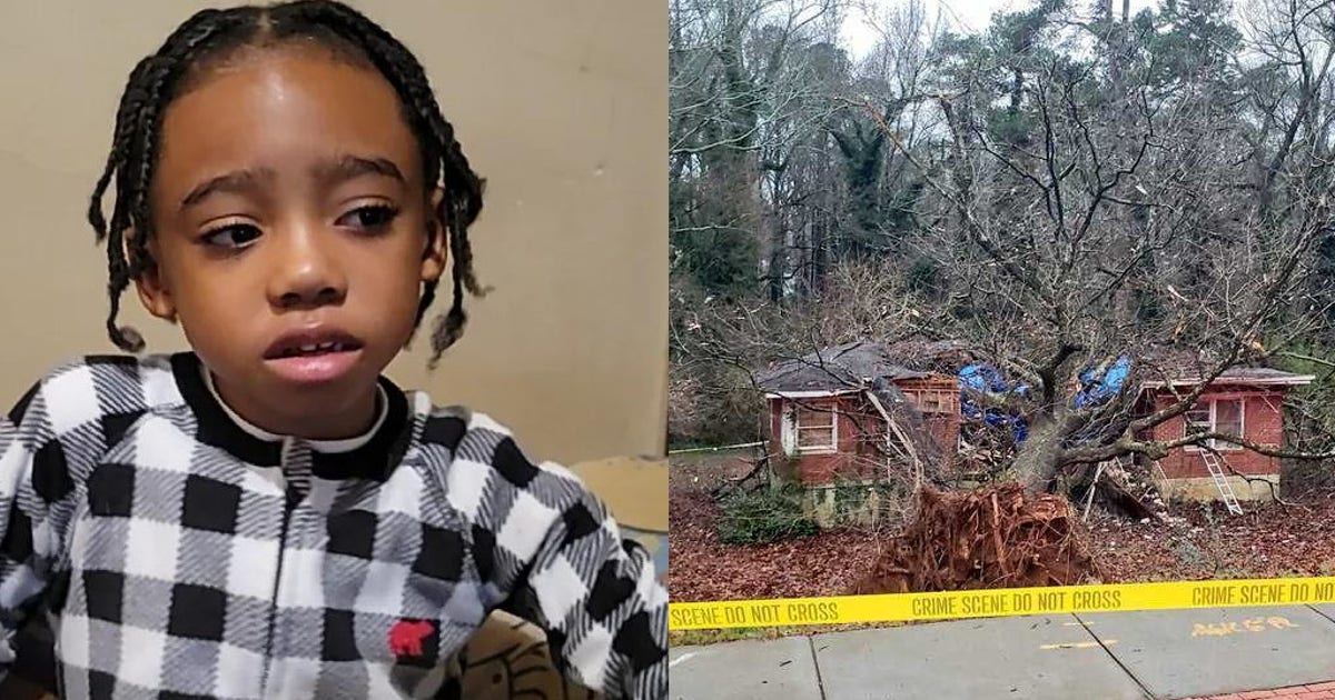 5-year-old DeKalb County boy killed by falling tree | FOX 5 Atlanta