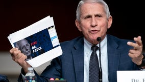 Fauci Senate hearing on pandemic gets testy: ‘What a moron’