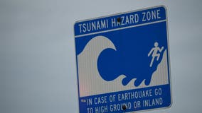 Pacific tsunami warning recedes; Tonga covered by ash cloud