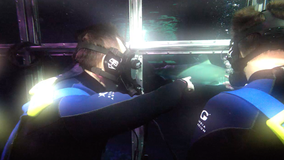 Taking the plunge in the Georgia Aquarium shark cage
