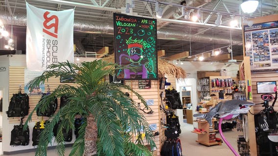 Diving into the new year with Alpharetta’s SeaVentures