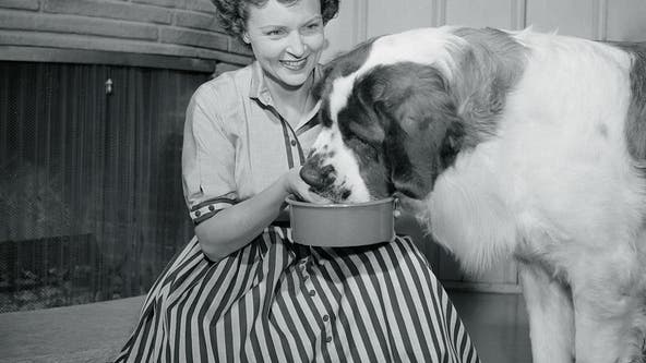 Betty White Challenge: Atlanta animal shelter participates in honor of beloved entertainer