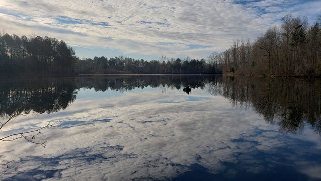 Public programs resume at Davidson-Arabia Mountain Nature Preserve