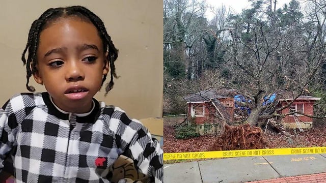 5-year-old DeKalb County boy killed by falling tree