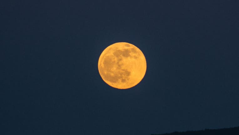 Wolf Moon In Greece