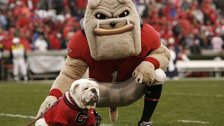 ga bulldogs football