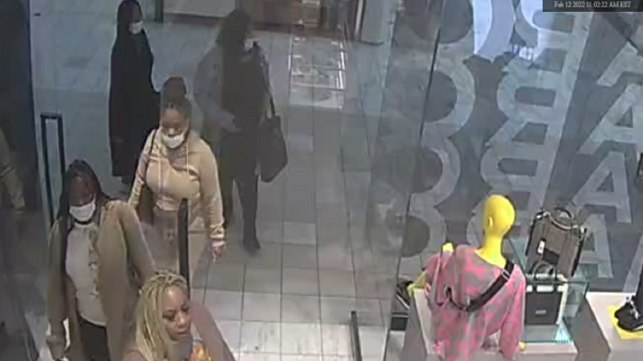 Women steal $2,500 in handbags, merchandise, Atlanta police say | FOX 5 ...