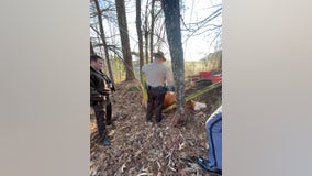 Pickens County deputies rescue cow trapped in fence