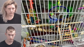 Burglary suspects caught with more than $100,000 in stolen items, pet birds