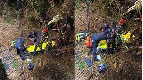 Sandy Springs fire crews rescue driver trapped in ravine