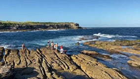 Sydney shark attack: Swimmer dies after suffering 'catastrophic injuries' from great white