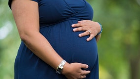 COVID-19 vaccines in pregnant women may protect newborns, study shows