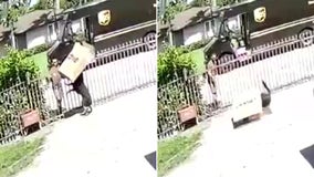Home security video shows UPS driver dropping heavy package on top of Florida woman's dog