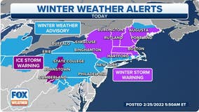 Winter storm spreading snow, sleet and freezing rain across US Northeast on Friday