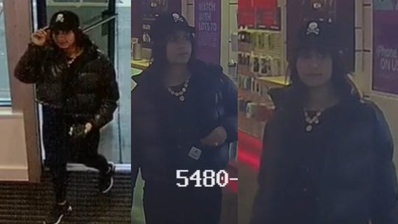 Deputies searching for woman in Bartow County iPhone theft