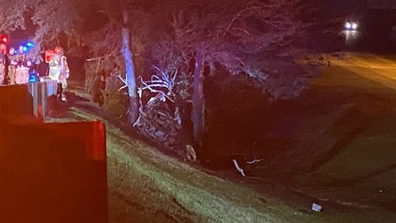 Driver killed in fiery crash after losing control on I-85