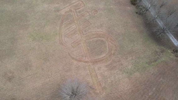 Douglasville artist transforms yard into tribute to Chinese New Year