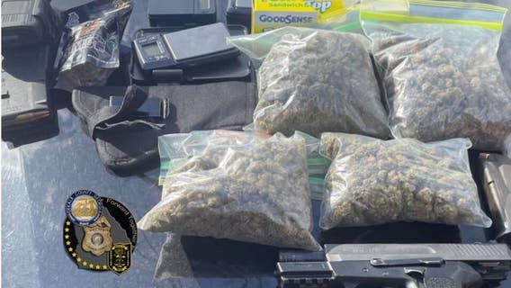 DeKalb Police K9, officers seize guns and drugs following traffic stop