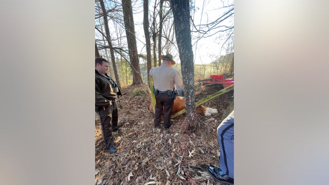 Pickens County deputies rescue cow trapped in fence