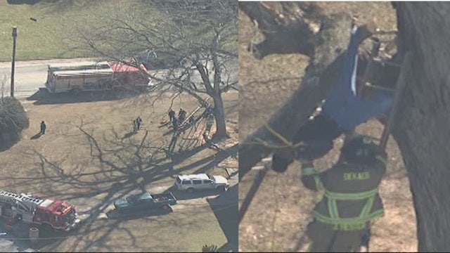 DeKalb County firefighters rescue man stuck in tree