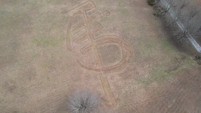 Douglasville artist transforms yard into tribute to Chinese New Year