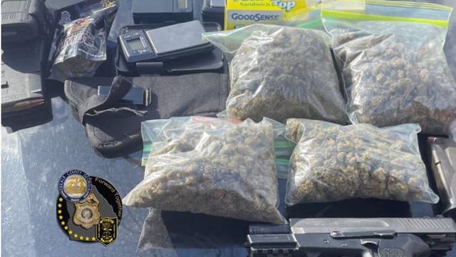 DeKalb Police K9, officers seize guns and drugs following traffic stop