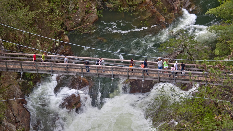 Tallulah Gorge Suspension Bridge by Peter Mcintosh 