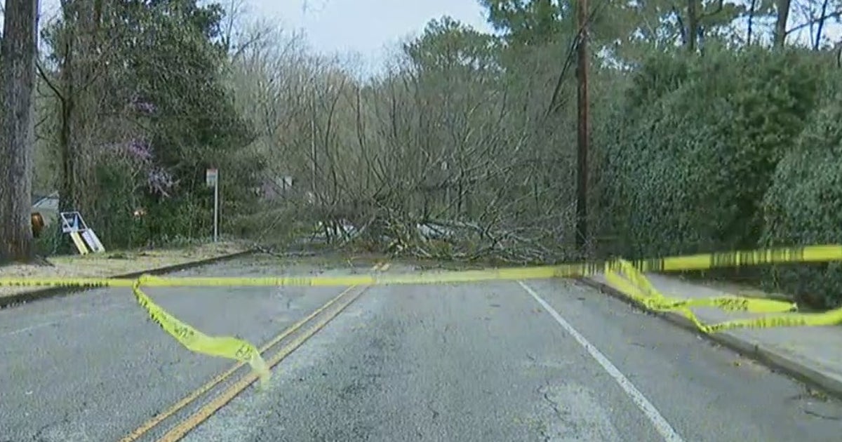 Winds knock down trees, power lines in metro Atlanta | FOX 5 Atlanta
