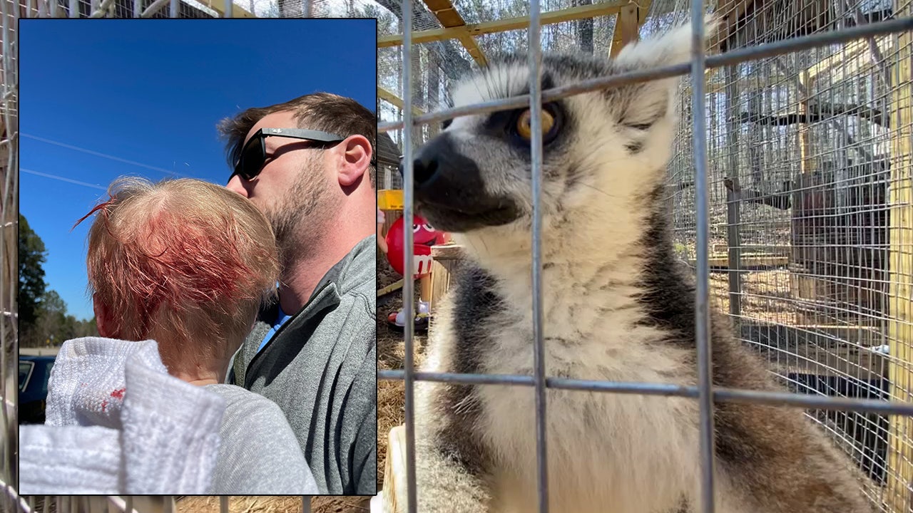 Child attacked by lemur at Jackson County petting zoo, father says