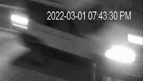 Image of SUV involved in deadly Duluth hit and run released