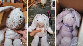 Woman finds lost stuffed bunny and wants to locate its owner: 'Looks like it was pretty loved'