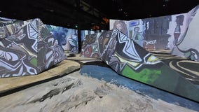 Immersive experience brings Picasso masterpieces to life