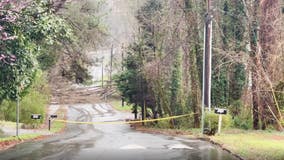 Strong storms take down trees, power lines in NE Atlanta