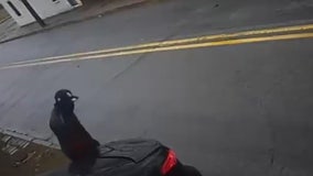 Video shows 'person of interest' connected to deadly shooting on Flat Shoals Avenue