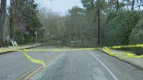 Winds knock down trees, power lines in metro Atlanta