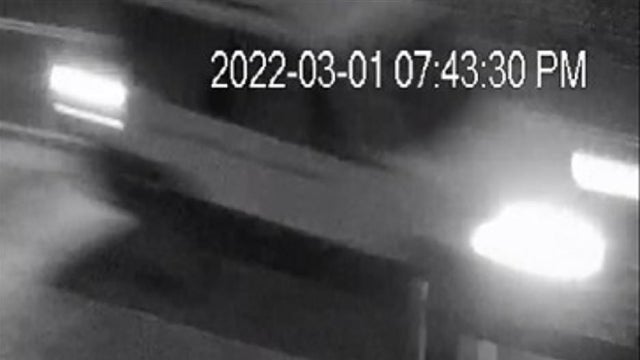 Image of SUV involved in deadly Duluth hit and run released