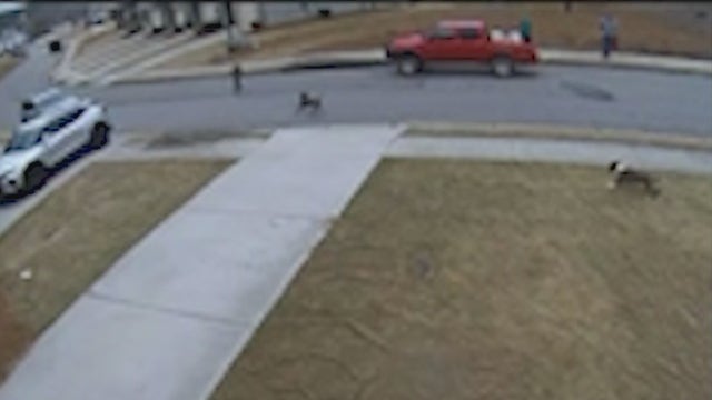 Boy recovering from dog bite in Winder neighborhood