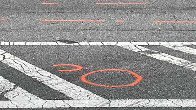 Woman, dog struck and killed crossing Cobb County road