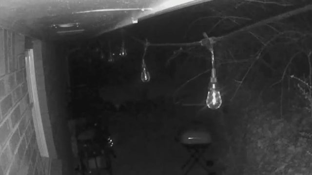 Dog, thousands in electronics stolen during DeKalb County burglary