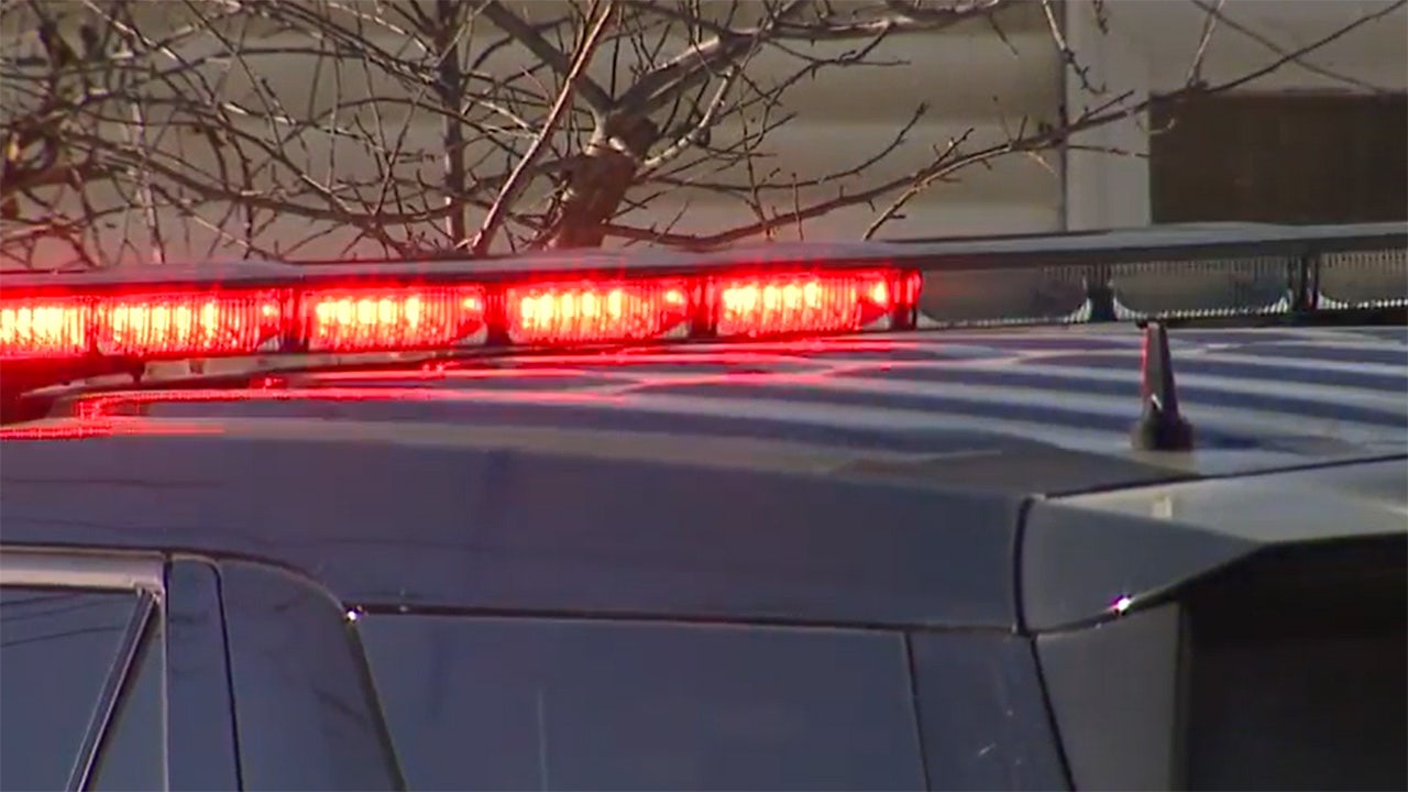 Revis Street shooting: Woman injured, man in custody in LaGrange