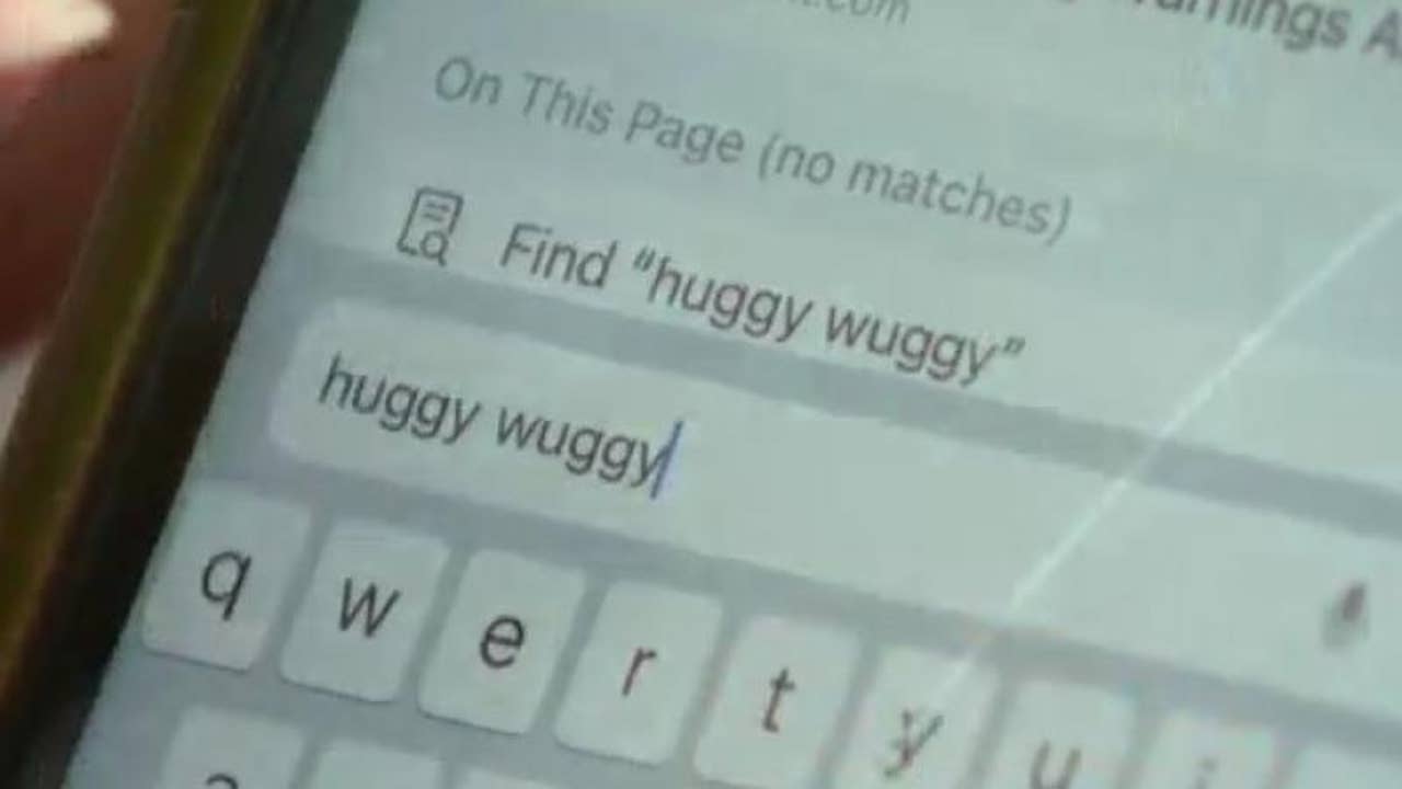 Hudson Valley School Warns Parents About 'Huggy Wuggy' Character