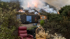 Man guilty of setting Big Sur fire that killed 12 California condors