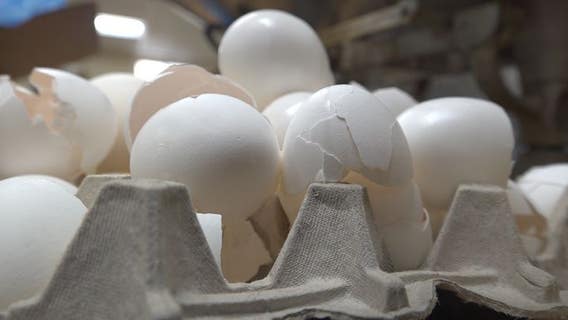 Several major retailers limiting egg purchases due to nationwide shortage