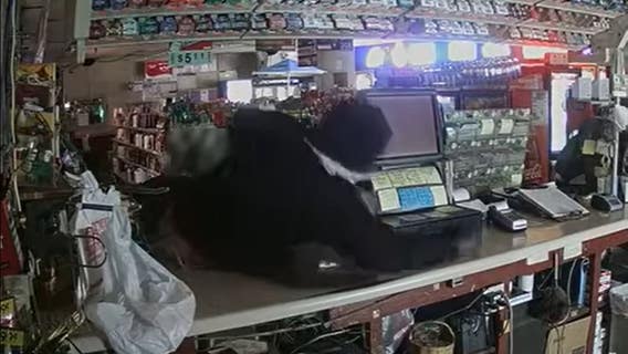 Police: 'Acrobatic' burglar runs right through store's glass door